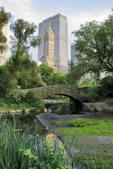 Gapstow bridge in Central Park. Central Park is a public park at the center of Manhattan, New York City, USA.