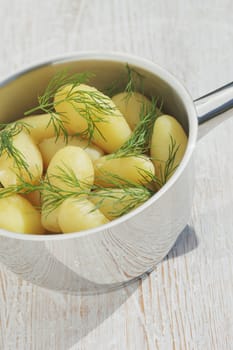 New potatoes with dill in steel pot