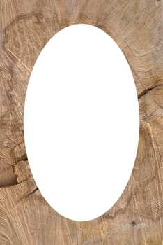 Background of truncated wood trunk section texture. Isolated white oval place for text photograph image in center of frame.