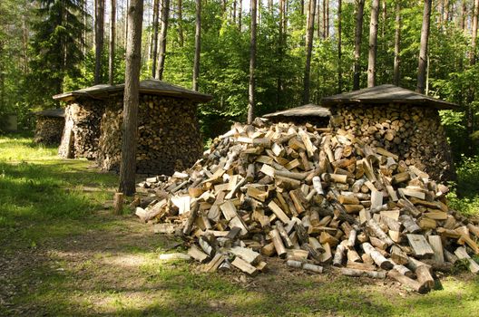 Small woodshed roof under stacked firewood. Pile of chopped wood near forest trees.