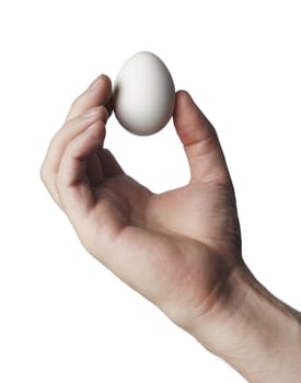 Hand holding a hen egg on white background