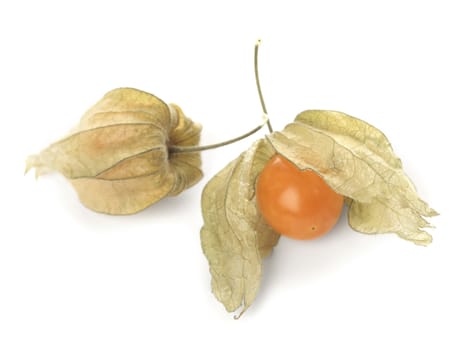 Physalis fruit with husks isolated on white