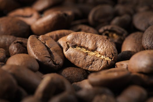 Coffee beans, short depth-of-field
