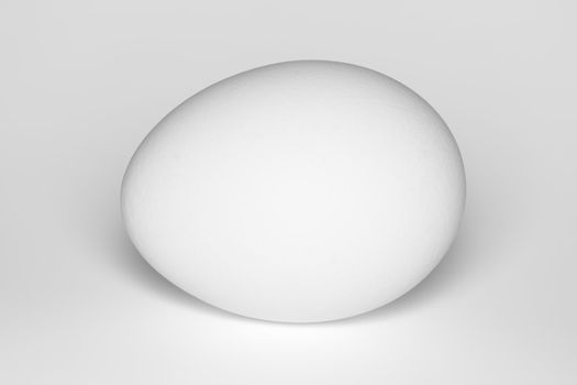 White chicken egg on a white background.