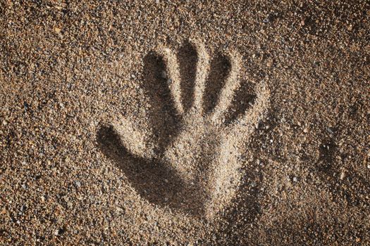 A handprint on coarse brown sand.