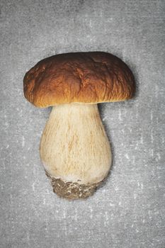 Porcini Mushroom (Boletus edulis) photographed with a ring flash