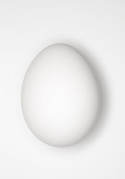 White egg on a light grey background