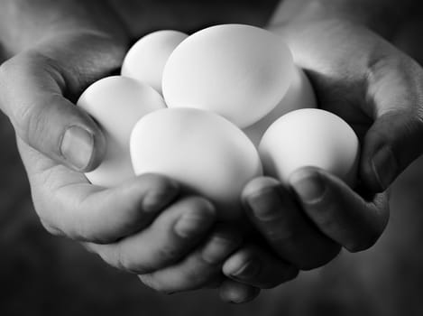 Black and white image of hands holding fresh white eggs