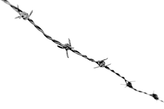 Black & white photograph of barbed wire. Shallow depth-of-field