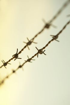 Barbed wire