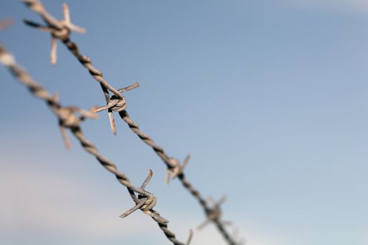 Old barbwire against blue sky