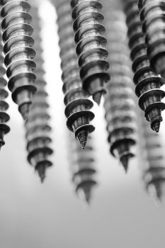 A Black and white image of stainless screws, Short depth-of-field
