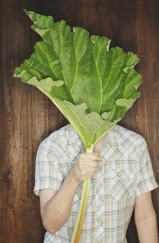 Man hiding behind a rhubarb leaf.