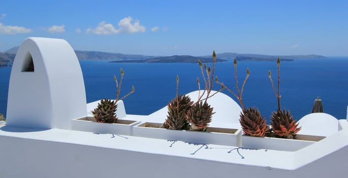 View on the volcano from a white balcony with beautiful cactus at Santorini, Greece