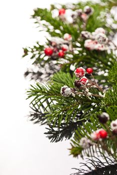 Holly and Christmas tree branches as decoration on a silver reflective surface