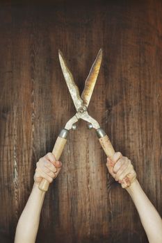 Man holding old manual hedge trimmer in front of wooden background.