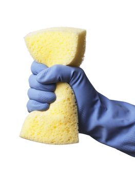 Hand with blue protective rubber glove holding a yellow sponge