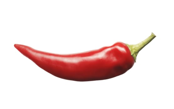 Red hot chili pepper isolated on white