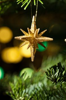 Decorative Gold star ornament in a Christmas tree 