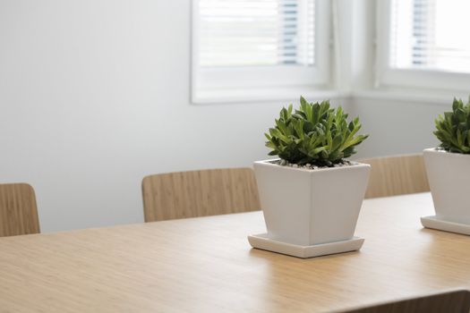 Modern dining room with a plant on the table