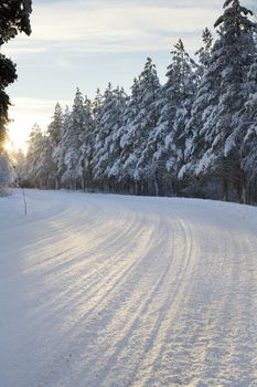 An arctic road in winter