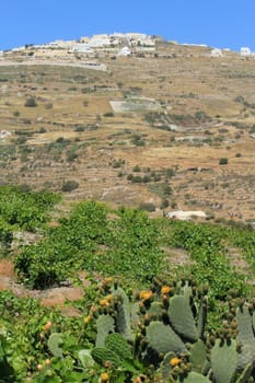 Landscape near Kamari on Santorini island, Greece