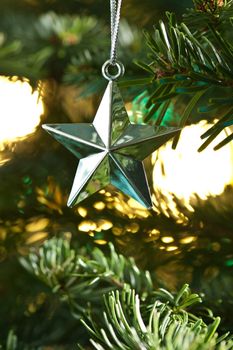 Star shape Christmas ornament, silver shining in color, in fresh green Christmas tree