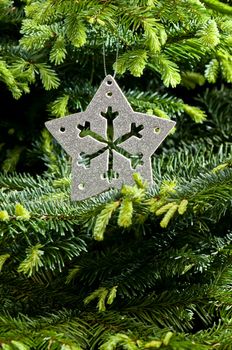Silver Christmas ornament, in real pine tree branches