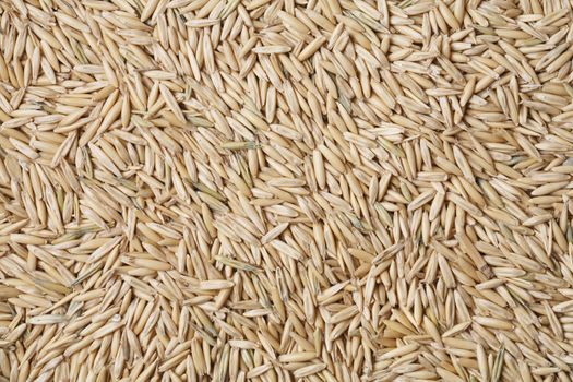 A Texture of oats seeds