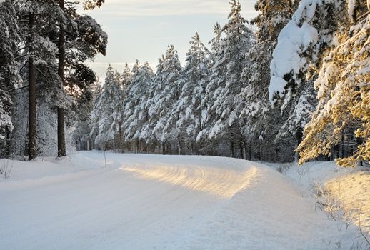 Snowy arctic winter road in the forest.