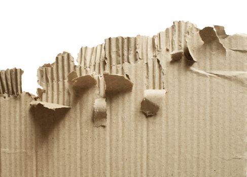 Torn brown corrugated cardboard on white background