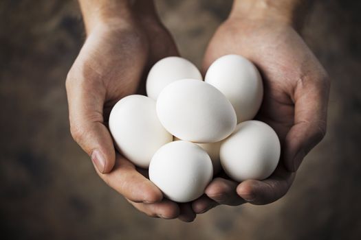 Hands holding fresh hen eggs