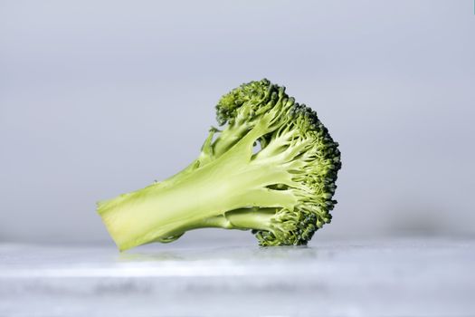 A Piece of broccoli on ice.