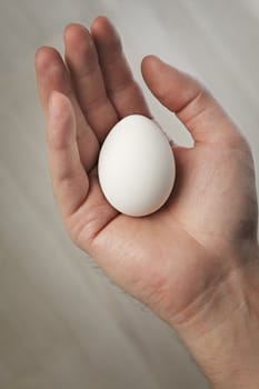 Hand holding a white hen egg