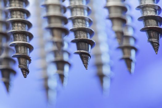 Stainless steel screws in closeup