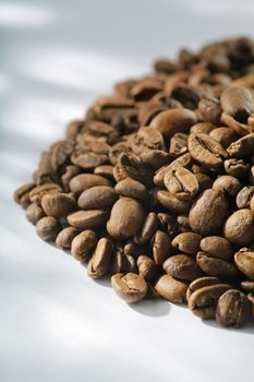 Roasted coffee beans. Shallow depth-of-field.