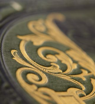 Detail of an old book cover, printed in 1880