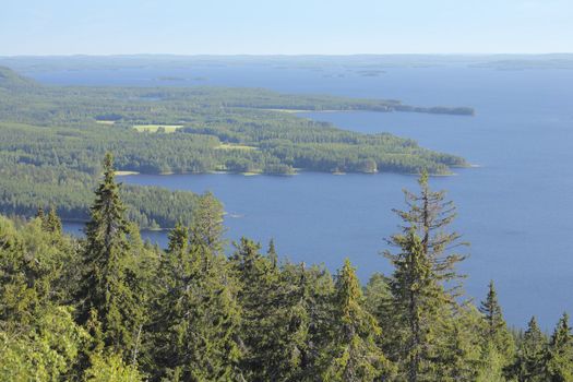 A View from Koli mountain national park in eastern Finland.