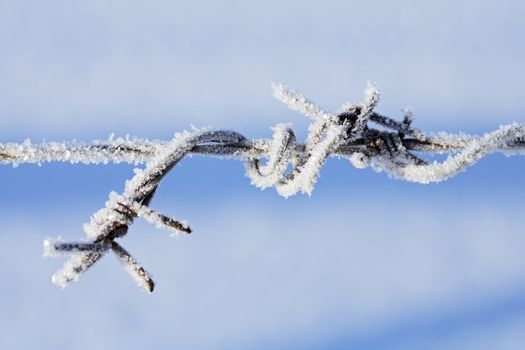 Frosty metallic barbed wire in winter