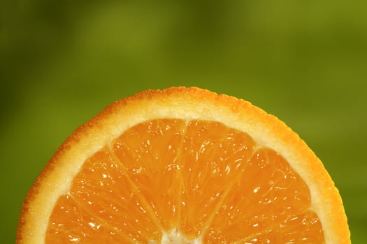 Orange Fruit.