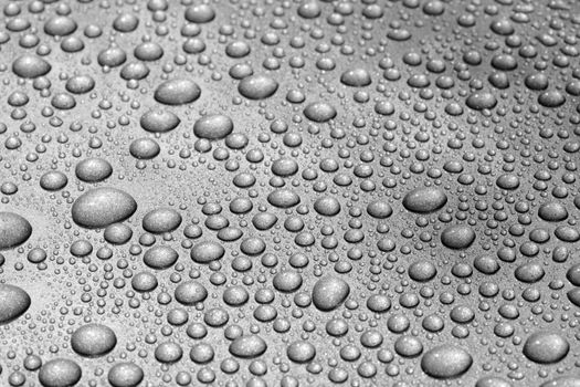 Water beads on a metallic dark grey car. The image may appear noisy, but that is caused by the metallic paint.