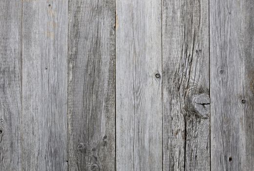Grey weathered wooden background texture
