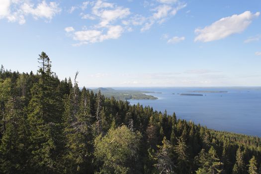 A View from Koli national park vantage point, Finland