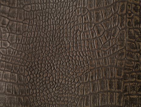Synthetic faux alligator skin from a cover of an old photo album