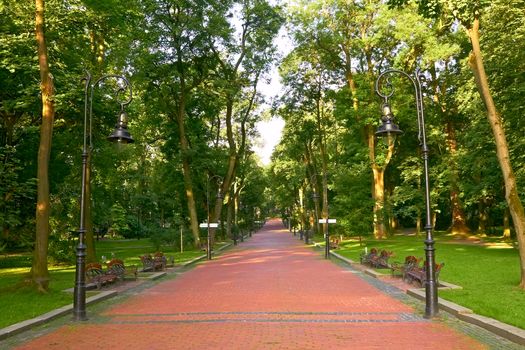 Paved park alley early in the morning near the National University in Lviv, Ukraine