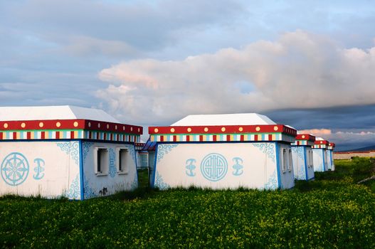 White Mongolian tent or ger on grassland