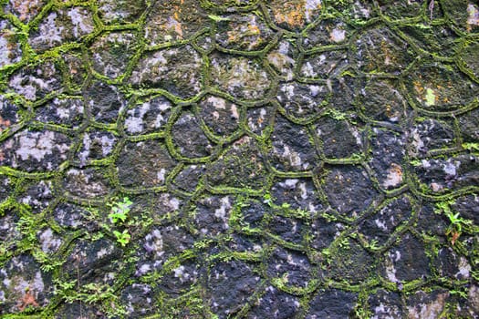 green moss growing through the gaps of stone wall background