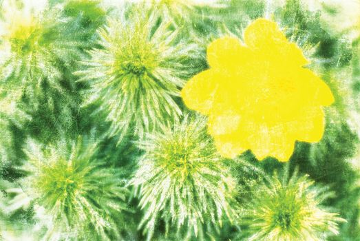 full-blown yellow flower and green branches, artwork in painting style