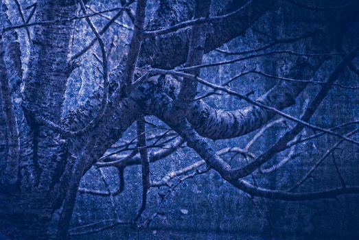 artwork in painting style gloomy wood in dark blue tones