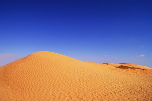 beautiful day in the dunes of Africa